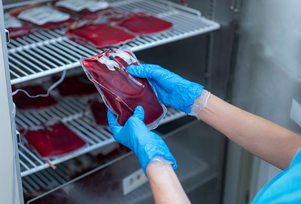sacche di sangue in frigo